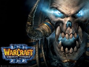 Skupinové hraní počítačové hry Warcraft - po síti